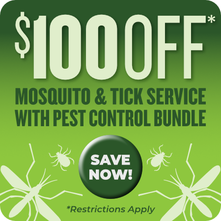 LastBiteHomeCTA-100offBundle